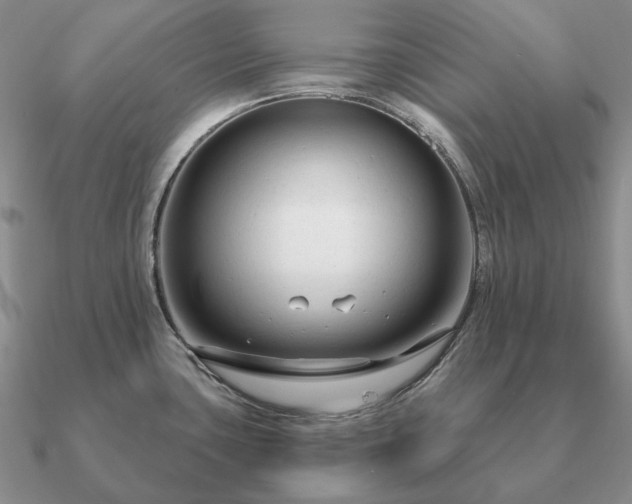 X0000090921435200708061533