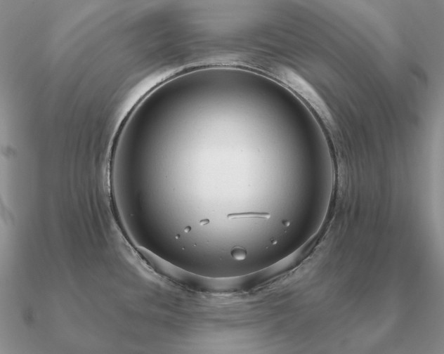 X0000090921436200708061533