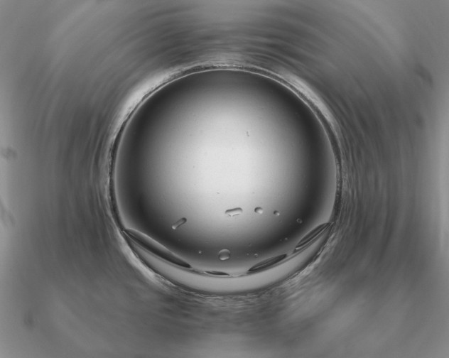 X0000090921437200708061533