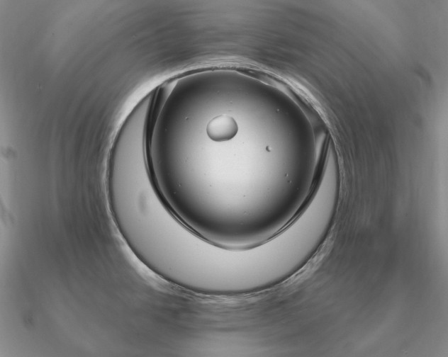 X0000090921438200708061533