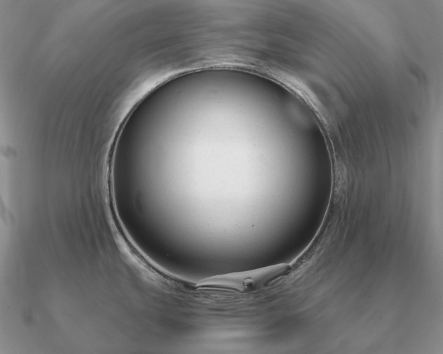 X0000090921439200708061533