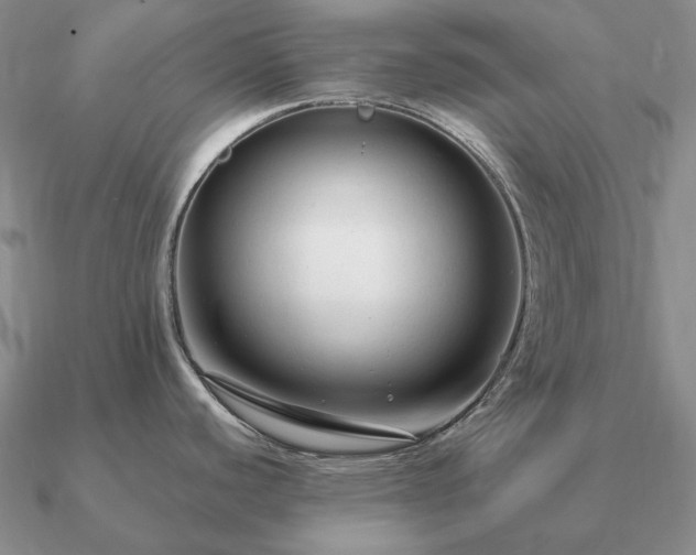 X0000090921440200708061533