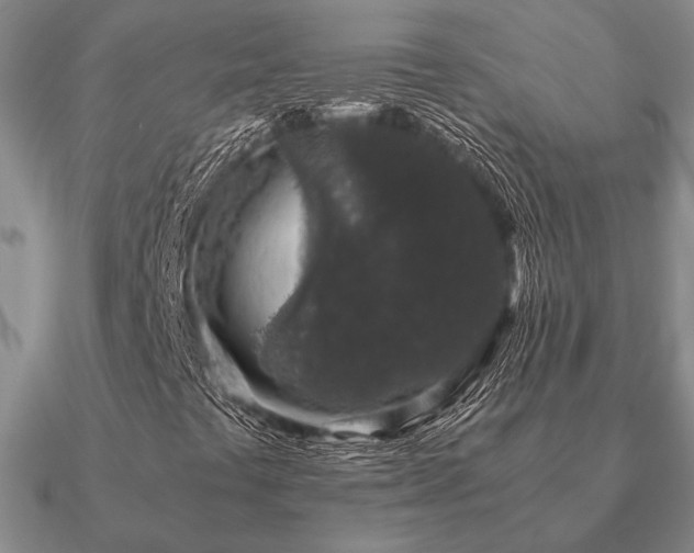 X0000090921441200708061533
