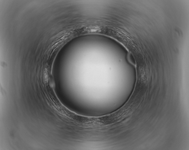X0000090921442200708061533