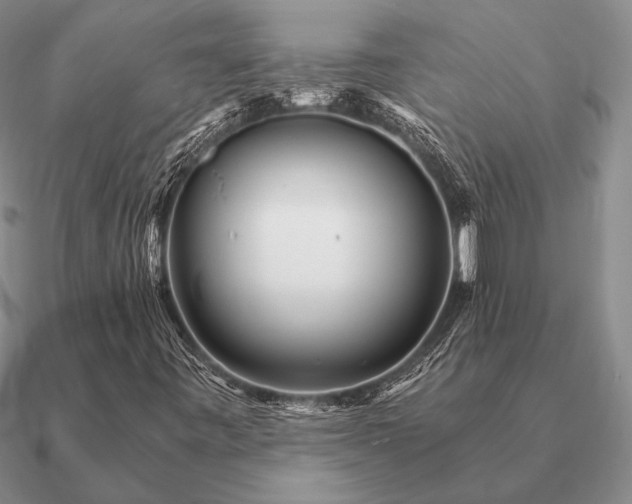 X0000090921443200708061533