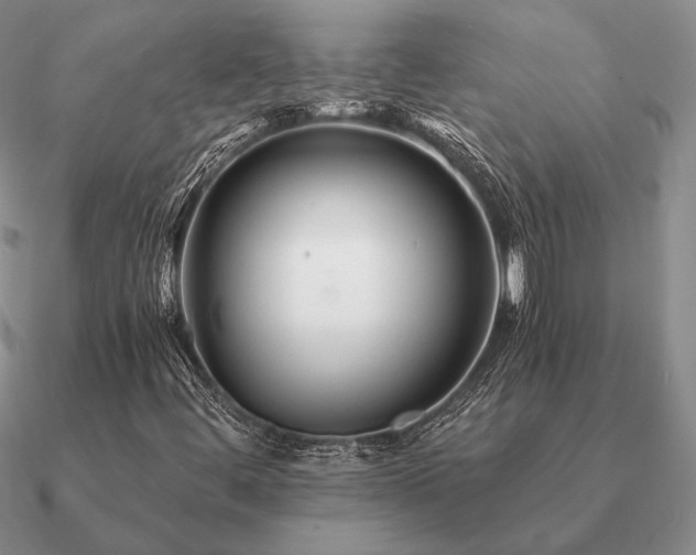 X0000090921444200708061533