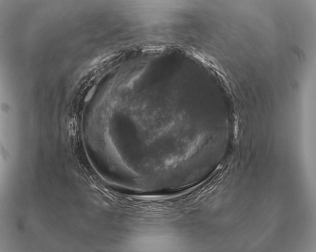 X0000090921445200708061533