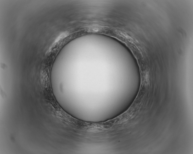 X0000090921446200708061533