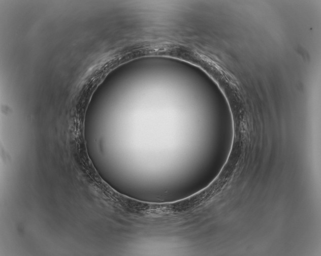 X0000090921447200708061533