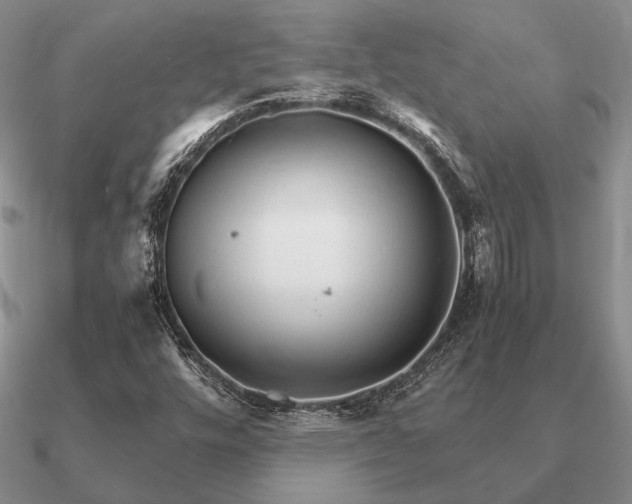 X0000090921448200708061533
