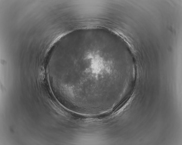 X0000090921449200708061533