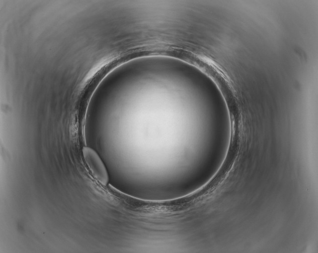 X0000090921450200708061533