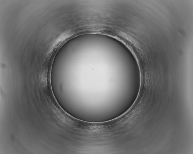 X0000090921451200708061533
