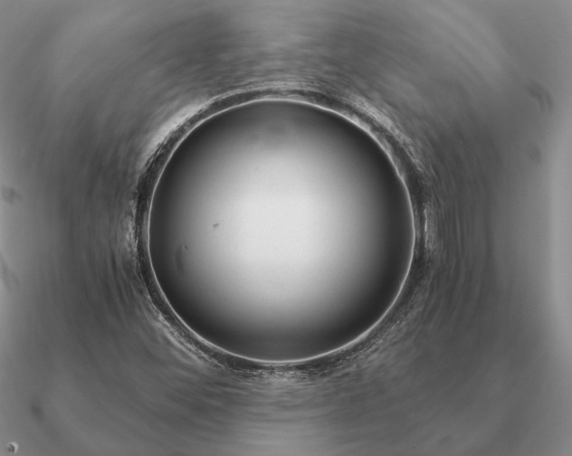 X0000090921452200708061533