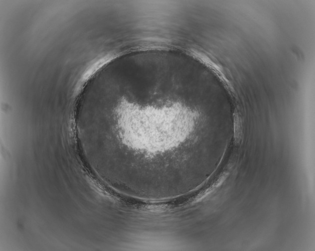 X0000090921453200708061533