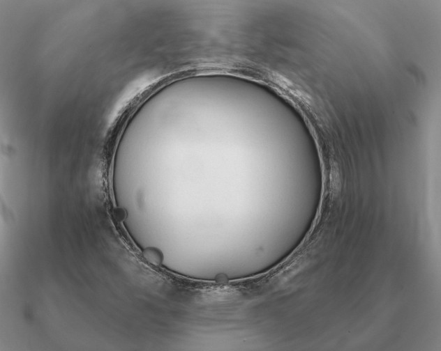 X0000090921454200708061533