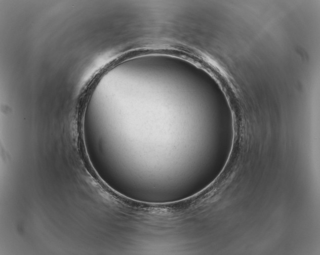X0000090921456200708061533