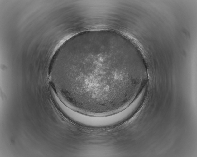 X0000090921457200708061533