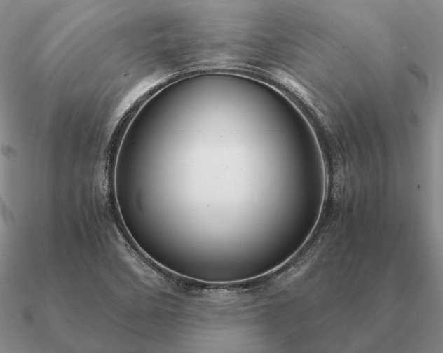 X0000090921458200708061533
