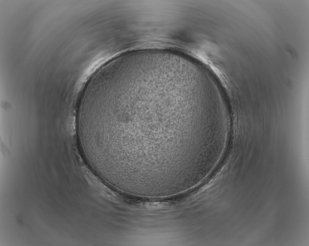X0000090921459200708061533
