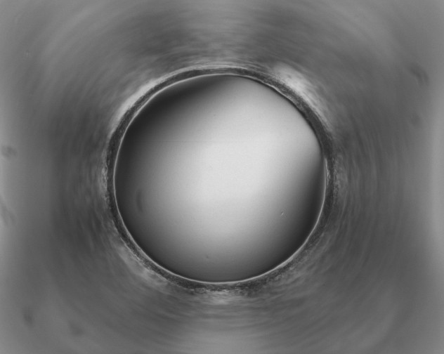 X0000090921460200708061533