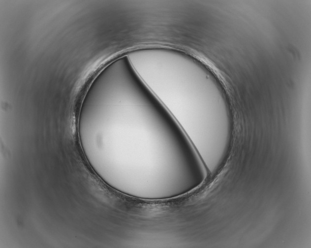 X0000090921461200708061533