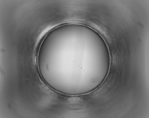 X0000090921462200708061533