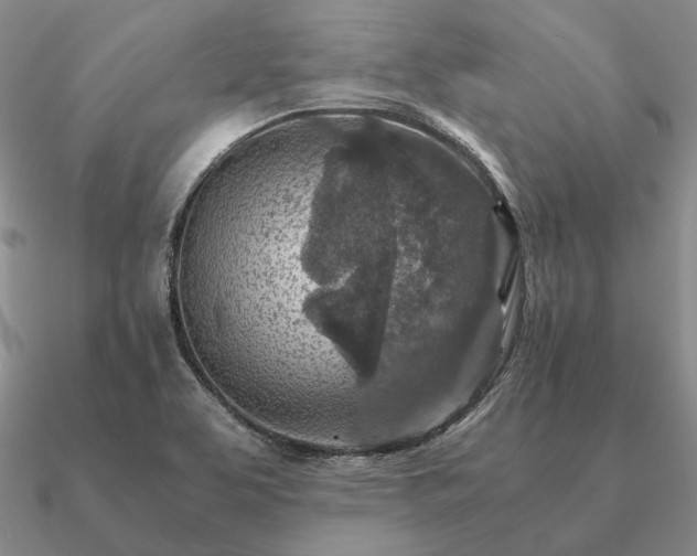 X0000090921463200708061533