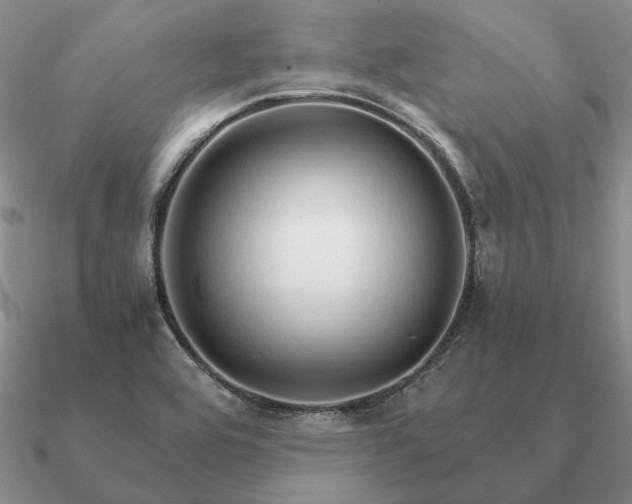 X0000090921464200708061533