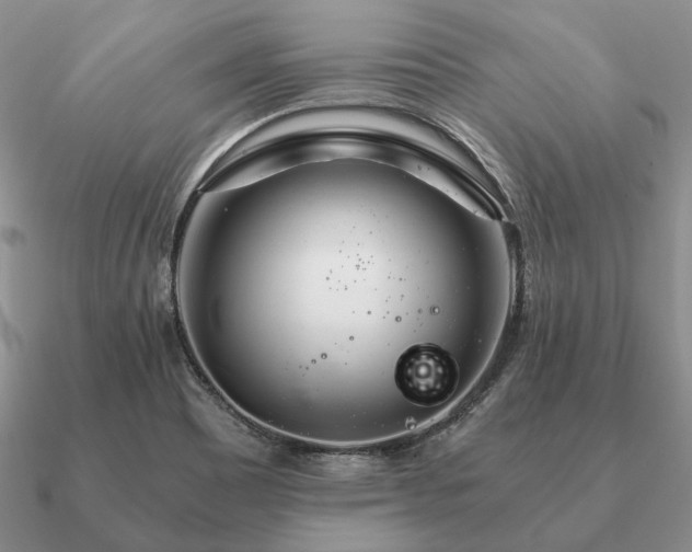 X0000090921465200708061532