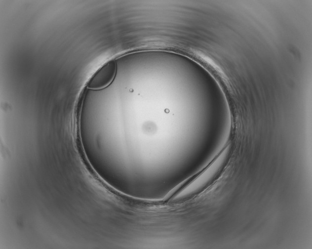 X0000090921467200708061532