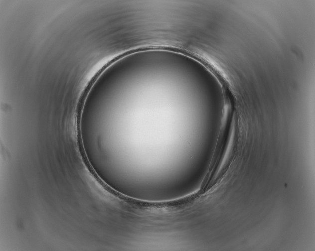 X0000090921468200708061532