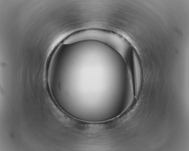 X0000090921469200708061532
