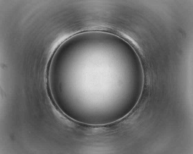 X0000090921471200708061532