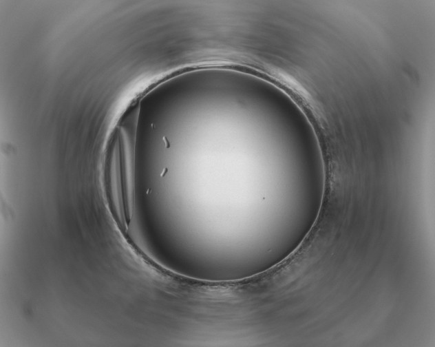 X0000090921472200708061532