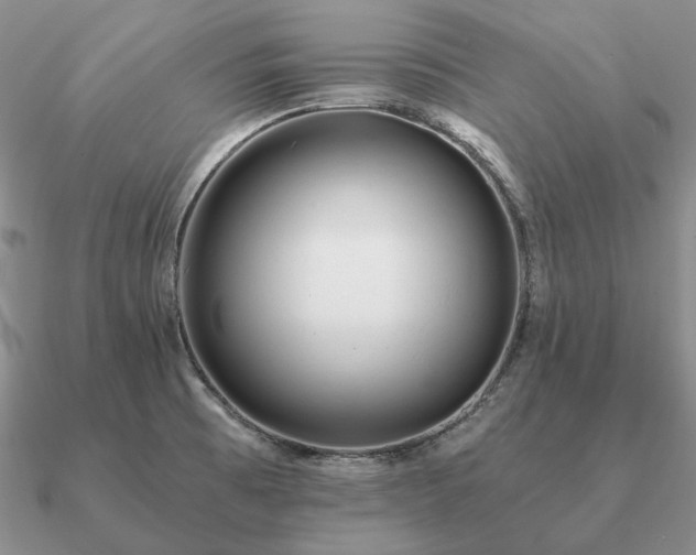 X0000090921473200708061532