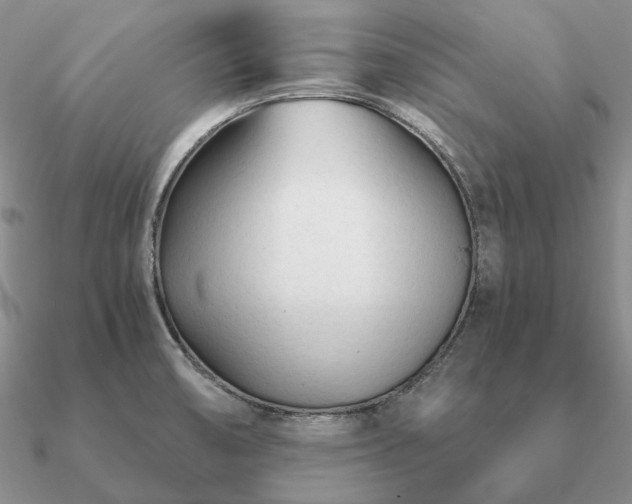 X0000090921474200708061532