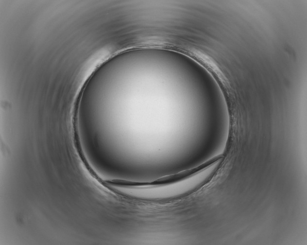 X0000090921475200708061532
