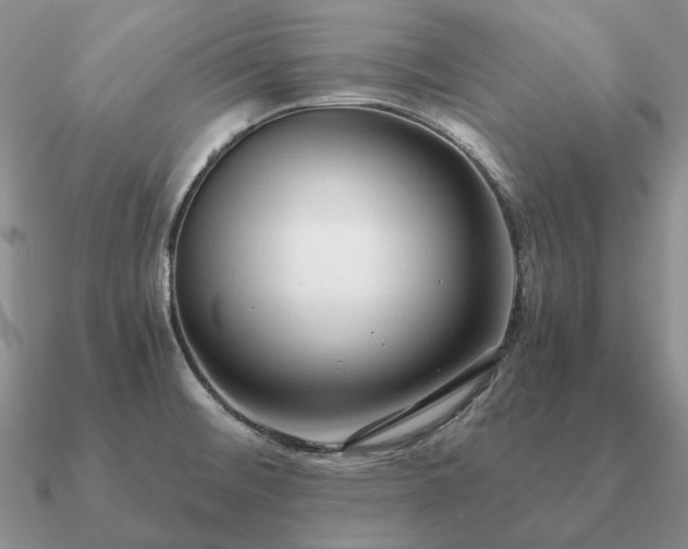 X0000090921476200708061532