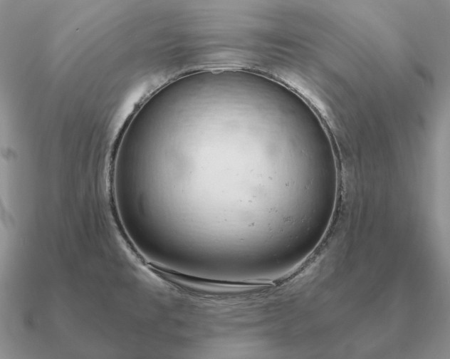 X0000090921477200708061532