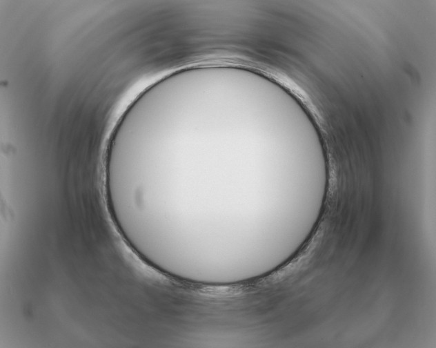X0000090921478200708061532