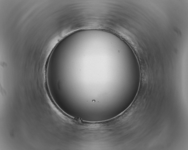 X0000090921479200708061532