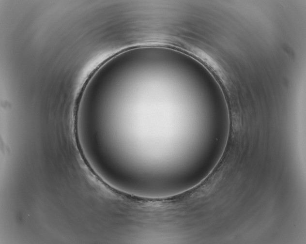X0000090921480200708061532