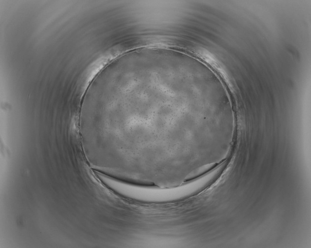 X0000090921481200708061532