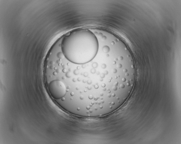 X0000090921483200708061532