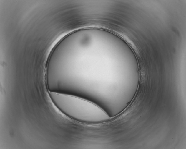 X0000090921484200708061532