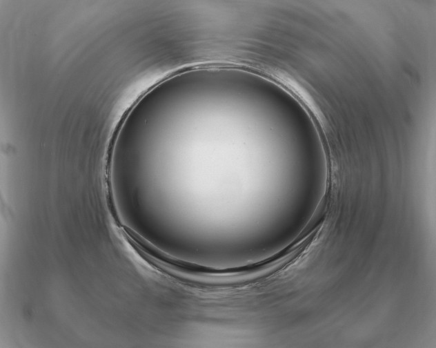 X0000090921485200708061532