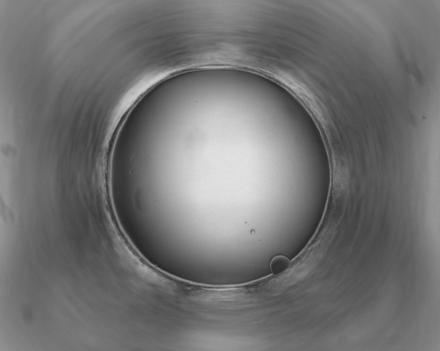 X0000090921486200708061532