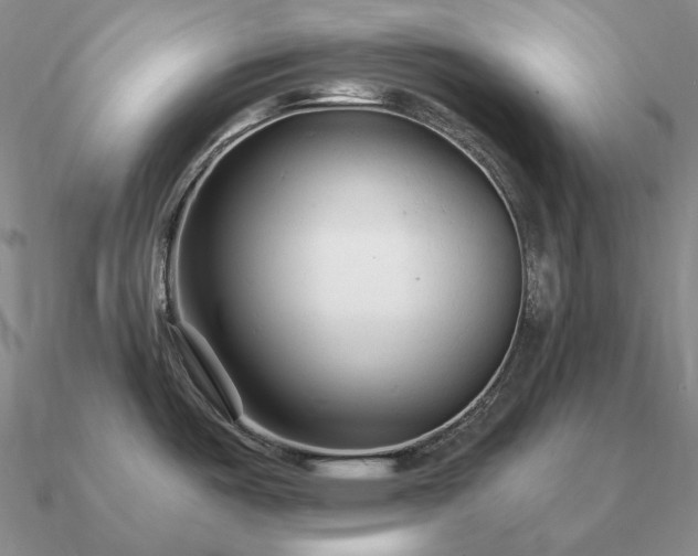 X0000090921487200708061532