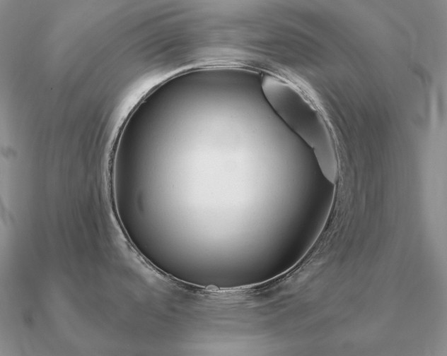 X0000090921488200708061532
